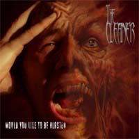 Cleaner : Would You Like to Be Blasted Cleaner : Would You Like to Be Blasted